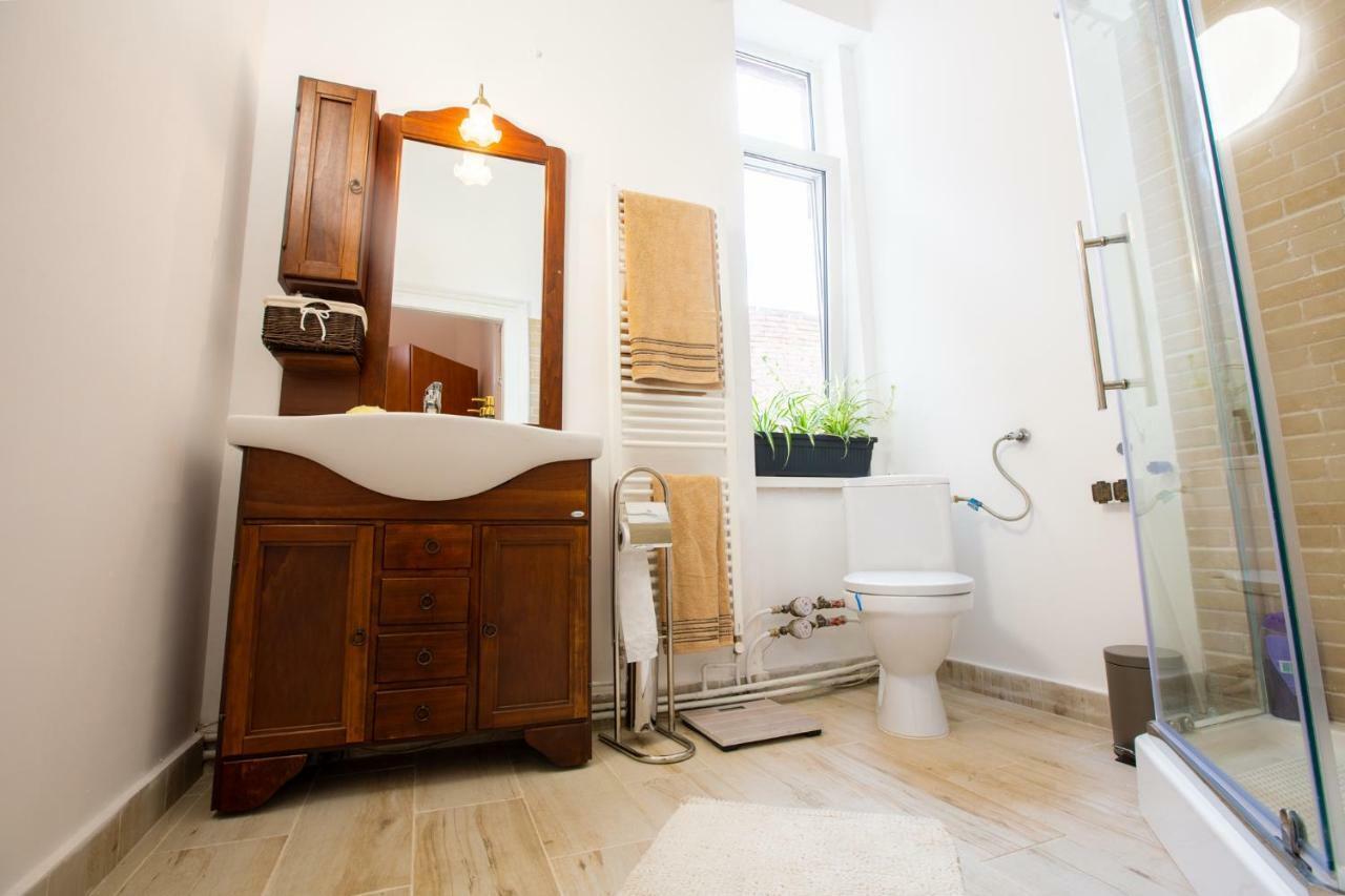 Art Downtown Alecsandri St Luxury Apartment Oradea Zewnętrze zdjęcie