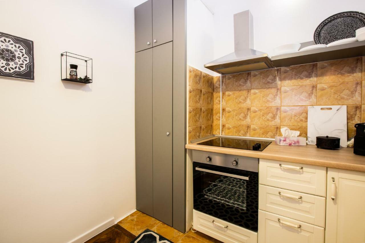 Art Downtown Alecsandri St Luxury Apartment Oradea Zewnętrze zdjęcie